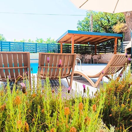 Villa Twins Sukosan With Heated Pool Εξωτερικό φωτογραφία